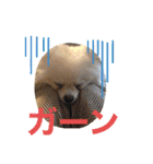 もなむぎのご挨拶（個別スタンプ：21）