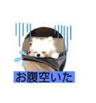 もなむぎのご挨拶（個別スタンプ：29）