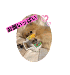 もなむぎのご挨拶（個別スタンプ：30）