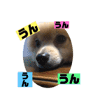 もなむぎのご挨拶（個別スタンプ：32）