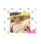 もなむぎのご挨拶（個別スタンプ：33）
