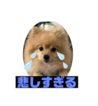もなむぎのご挨拶（個別スタンプ：35）