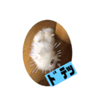 もなむぎのご挨拶（個別スタンプ：40）