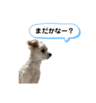 ゆず坊屋（個別スタンプ：3）