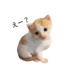 ゆとちゃもも（個別スタンプ：3）