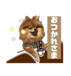 ぽんちゃんのスタンプ♡（個別スタンプ：8）