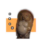 lost memory（個別スタンプ：39）