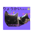 Hair salon 訪問美容室 Cocoa（個別スタンプ：1）