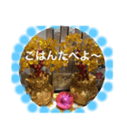 Hair salon 訪問美容室 Cocoa（個別スタンプ：4）