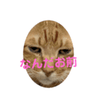 みぃーこくん（個別スタンプ：7）