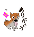 プリティな柴犬の挨拶（個別スタンプ：6）