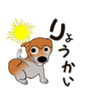 プリティな柴犬の挨拶（個別スタンプ：9）