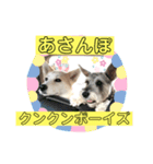 そうです、ぼくがパブロですvo.1（個別スタンプ：7）