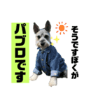 そうです、ぼくがパブロですvo.1（個別スタンプ：8）