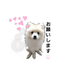 フジタさんちのちよまるくん（個別スタンプ：3）