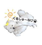 フジタさんちのちよまるくん（個別スタンプ：9）