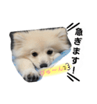 フジタさんちのちよまるくん（個別スタンプ：12）