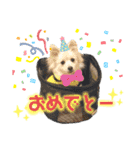 フジタさんちのちよまるくん（個別スタンプ：18）