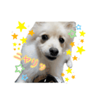 フジタさんちのちよまるくん（個別スタンプ：20）
