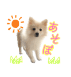 フジタさんちのちよまるくん（個別スタンプ：21）