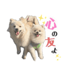 フジタさんちのちよまるくん（個別スタンプ：23）