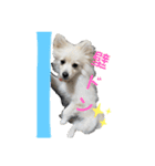 フジタさんちのちよまるくん（個別スタンプ：24）