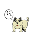 犬スロ（個別スタンプ：7）