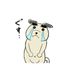 犬スロ（個別スタンプ：19）