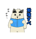 犬スロ（個別スタンプ：28）
