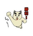 犬スロ（個別スタンプ：29）