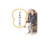 面白スタンプ family（個別スタンプ：5）