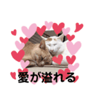 面白スタンプ family（個別スタンプ：6）