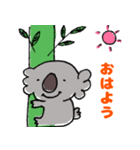 明るいコアラ（個別スタンプ：9）