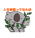 明るいコアラ（個別スタンプ：12）