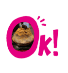 真のかきごおりすと！（個別スタンプ：12）