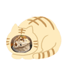 真のかきごおりすと！（個別スタンプ：14）