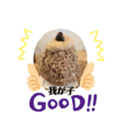 真のかきごおりすと！（個別スタンプ：15）
