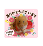 チョコ！ミルク！スタンプ（個別スタンプ：3）