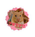 チョコ！ミルク！スタンプ（個別スタンプ：10）