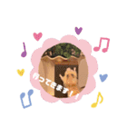 チョコ！ミルク！スタンプ（個別スタンプ：15）