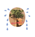 チョコ！ミルク！スタンプ（個別スタンプ：17）