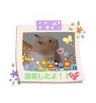 チョコ！ミルク！スタンプ（個別スタンプ：18）