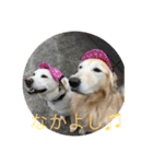 もとらら（個別スタンプ：12）