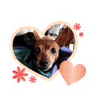 ルビー dog dog（個別スタンプ：4）