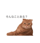 猫との暮らしは素晴らしい（個別スタンプ：4）