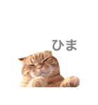 猫との暮らしは素晴らしい（個別スタンプ：8）