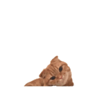 猫との暮らしは素晴らしい（個別スタンプ：13）