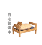 猫との暮らしは素晴らしい（個別スタンプ：16）