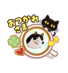 「ハチワレ猫」（個別スタンプ：7）