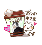 「ハチワレ猫」（個別スタンプ：8）